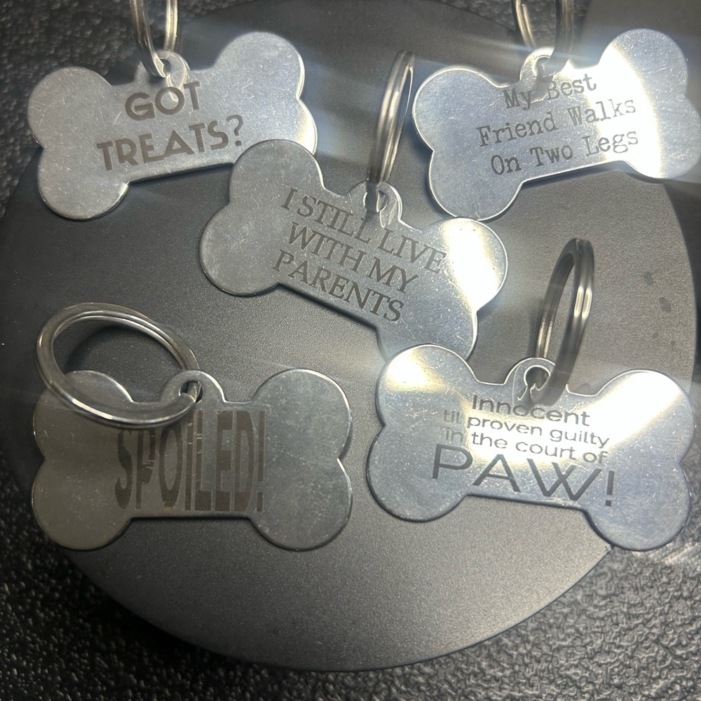 5 Stainless Steel Silver Dog Bone-Shaped Pet Tags